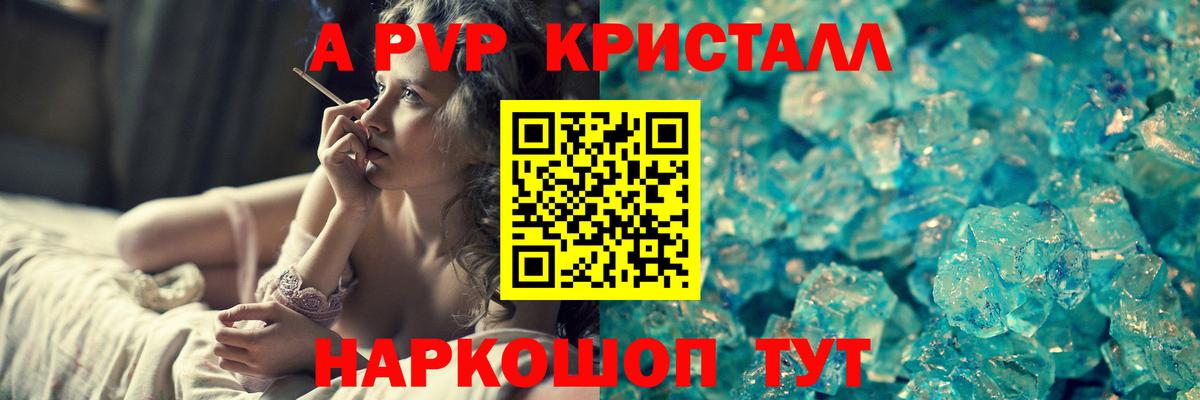 A PVP СК Нововоронеж