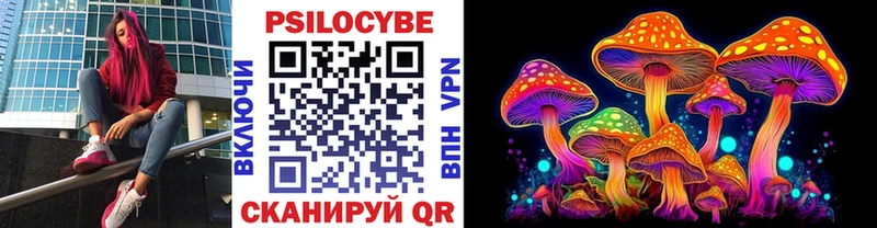 Псилоцибиновые грибы Psilocybe  Нововоронеж 