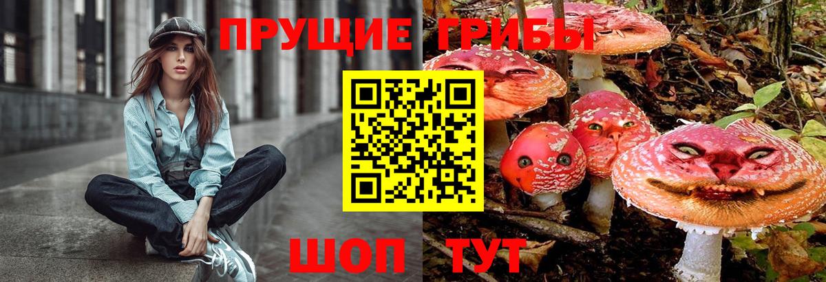 Псилоцибиновые грибы прущие грибы Нововоронеж