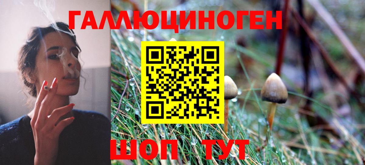 Псилоцибиновые грибы мицелий  Галлюциногенные грибы Magic Shrooms  Вход с VPN  Нововоронеж 